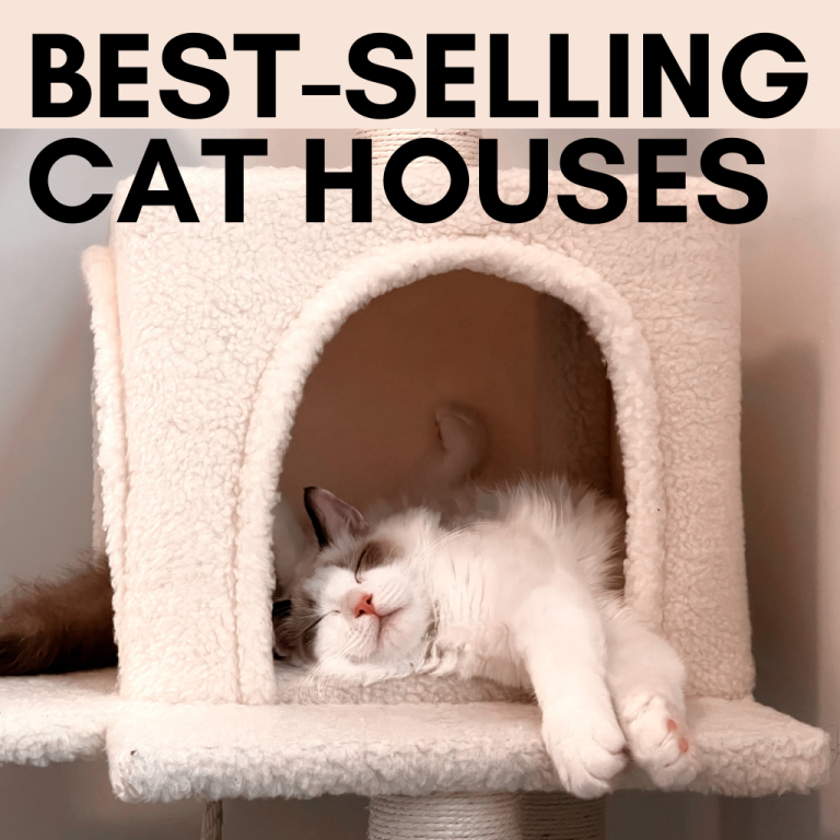 cat houses