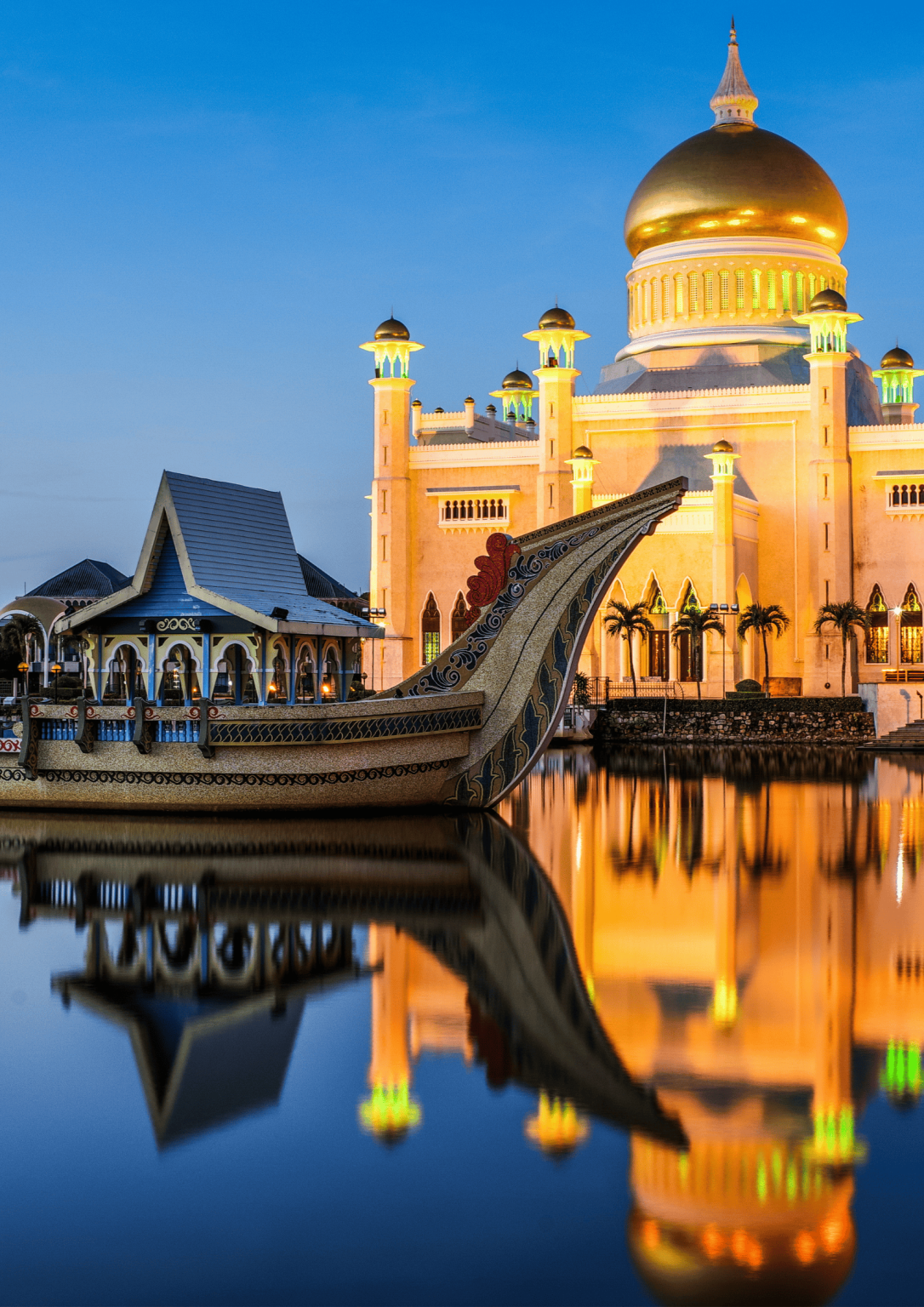 Unlock Your Strength with the Best Tongkat Ali Singapore